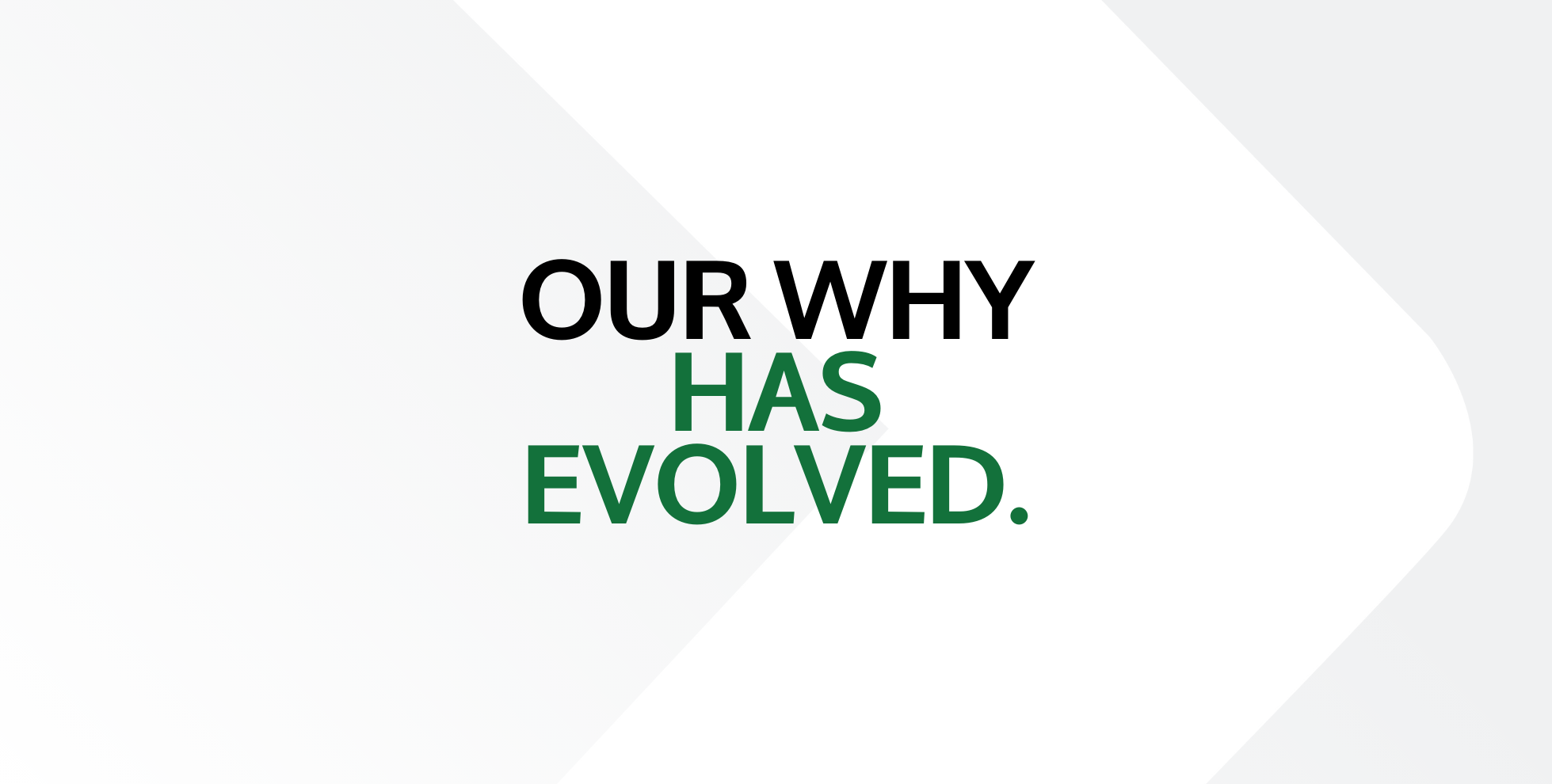 A Mission with Clarity: OmniByte’s Next Chapter
